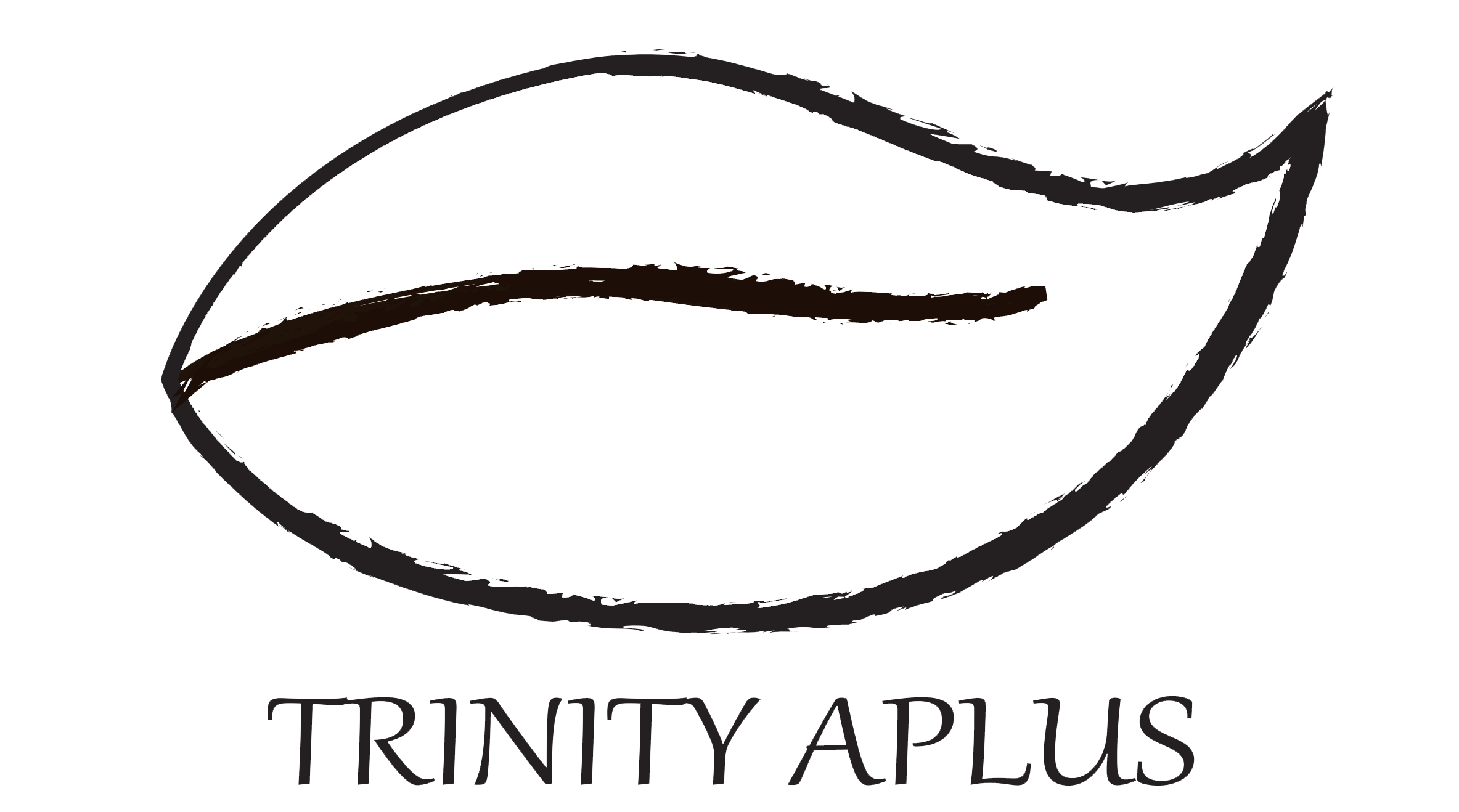 trinityfact.com